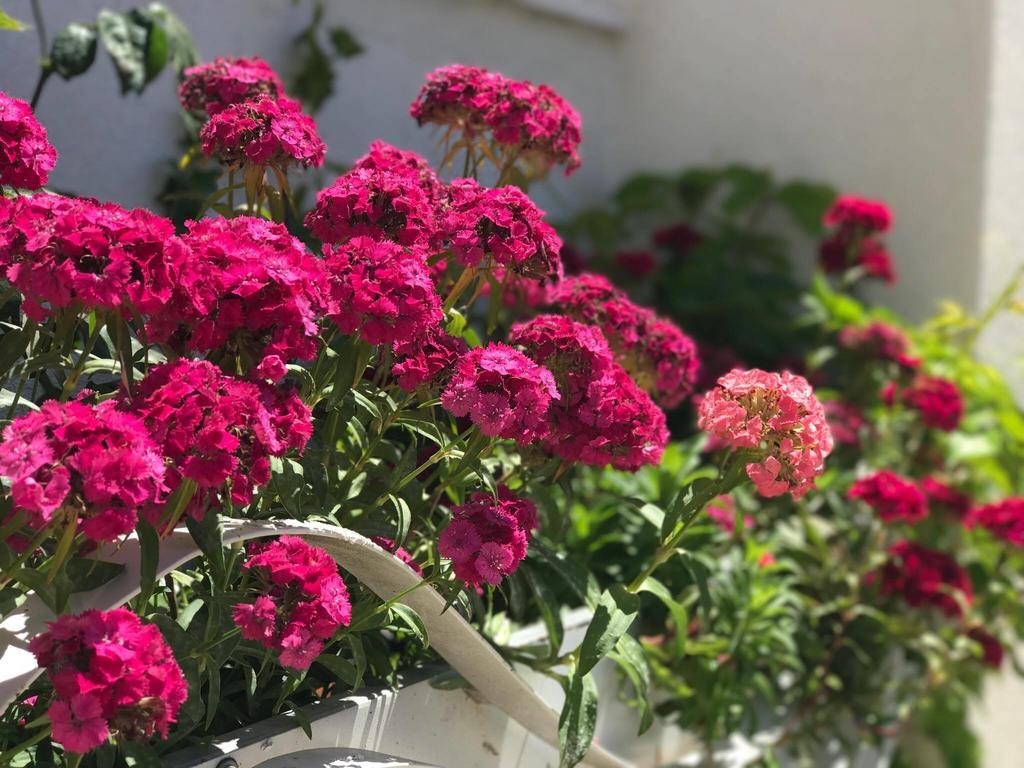Sunny Bay Apartments Saranda Dış mekan fotoğraf